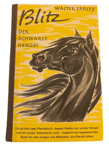 Blitz der schwarze hengst - schwarze,