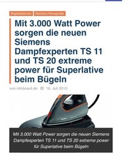 Siemens Dampfexperte TS 20