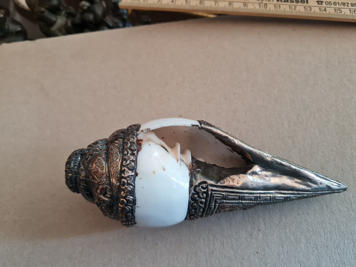 Tibetisches conch muschelhorn - tibetisches,