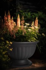 Blumentopf Schale, Rund Pflanzkübel Pflanz Pot Amphore