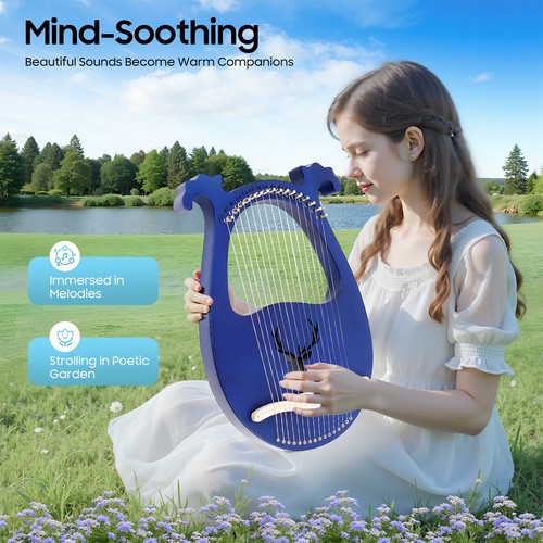 Saiten aklot lyre harp - 16,