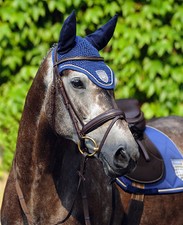 Passier Trense INGRID KLIMKE