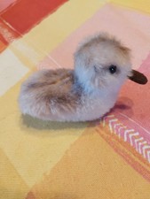 Steiff Küken Entchen 7,5 cm alt Ente