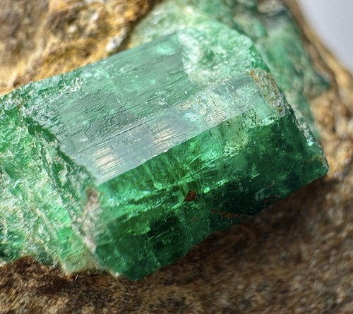 Höchste qualität farbe grün - höchste,