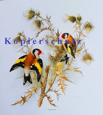 Rarität Aquarell Naturmotiv