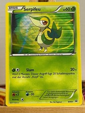 Serpifeu BW01 Blackstar Promo Holo Deutsch Exc Pokemon