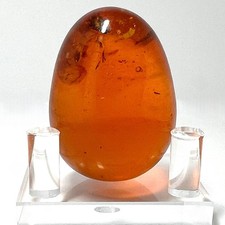 Baltic Amber Egg poliert, Naturbernstein mit Mikroblasen und Inklusen, 37,35 g