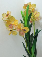 Gelbe Orchidee - 70cm - Kunstpflanze - Neu über 60€ - Gute Qualität