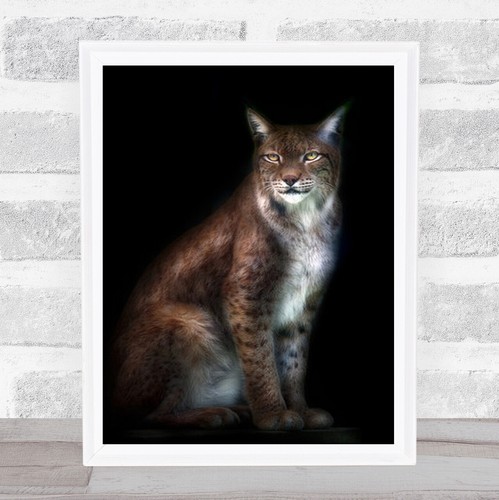 Luchs portrait tier - portrait, tiere