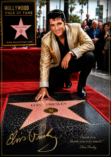 Elvis presley the - –, king