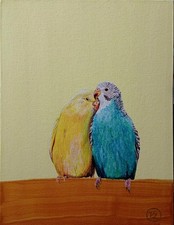 Gemälde sittiche 30x40 - "sittiche, 2"