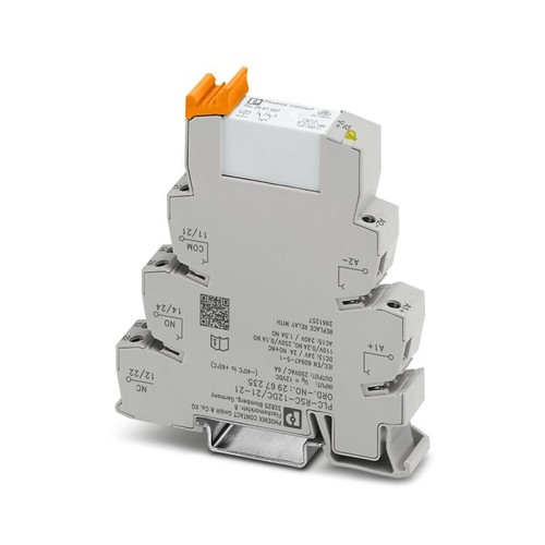 1pcs new phoenix - 1pcs,