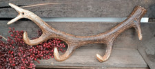 ❤️ 3er Wandhaken Hirsch -
