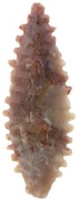 Neolithikum