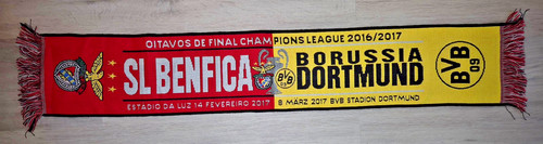 Borussia dortmund benfica - borussia,