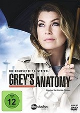 Greys Anatomy - Staffel 12 [6