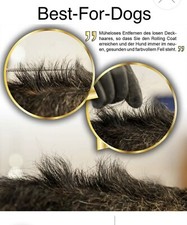 Hunde  Veterinär EHASO