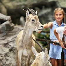 Leipzig Zoo 4 Tage Kurzurlaub