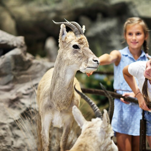 Leipzig zoo tage kurzurlaub - zoo,