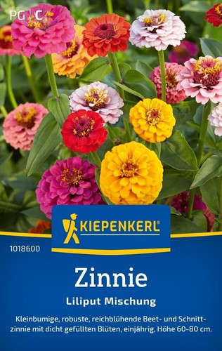 Zinnie liliput mischung - *, *