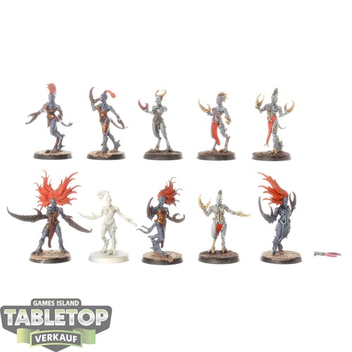 Hedonites slaanesh 10 - -,