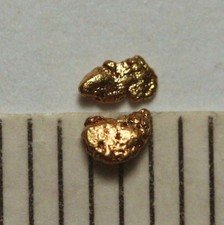 2 GOLDNUGGETS- GOLD NUGGETS