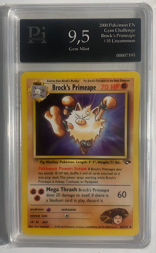 Brock primeape 132 gym - brock's,