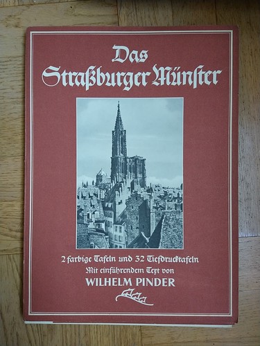 Das straßburger münster - münster, 2