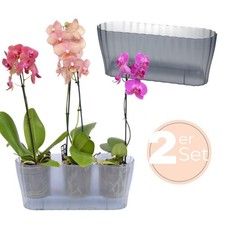 2er Set Orchideentopf