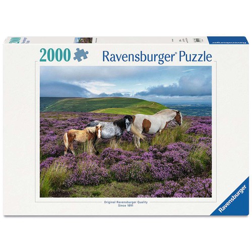 Ravensburger wildpferde der - ravensburger, in