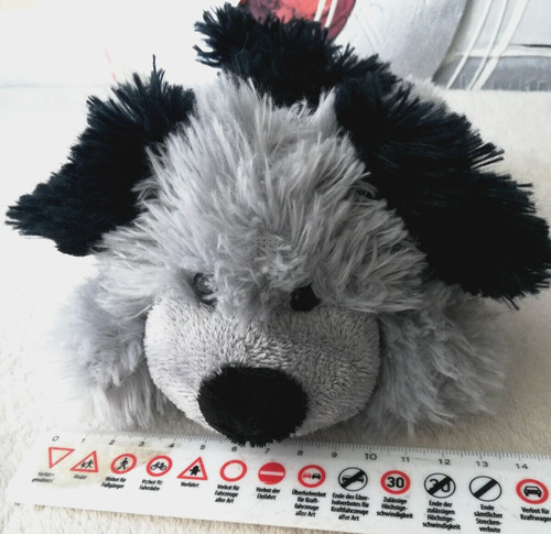 Morgenroth hund liegend - hund,