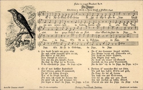 Lied zipp von hans - de,