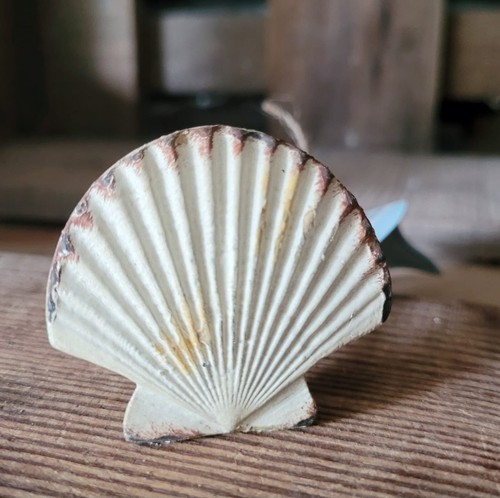 Möbelknopf vintage muschel - möbelknopf,
