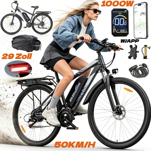 1000w elektrofahrrad zoll - 1000w, 29