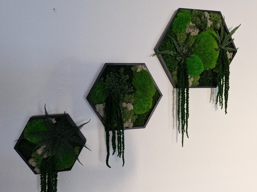 Hexagon 3er set moosbild - hexagon, 3er-set