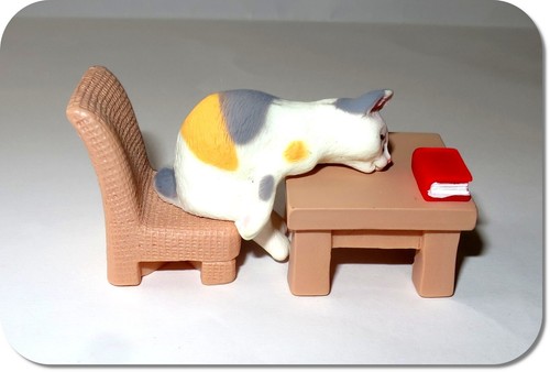 Miniatur katze schlafend - katze, am