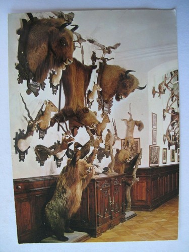 Zamek konopiste galerie mit - konopiste,