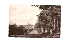 AK KEMBERG Dübener Heide