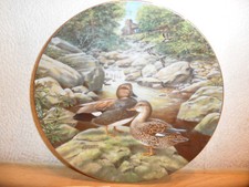 Sammelteller Porzellan Teller