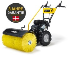 TEXAS Kehrmaschine Benzin 80cm