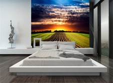 3D Himmelwiesenlandschaft 6