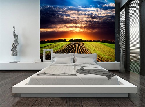 Himmelwiesenlandschaft 6 - 3d,