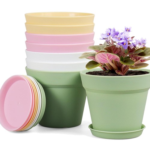 Packs blumentopf mit - 8,