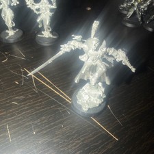 Eldar Harlekin Troupe Master