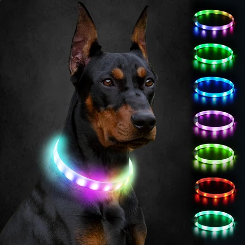Leuchthalsband hund led modi - hund, 9