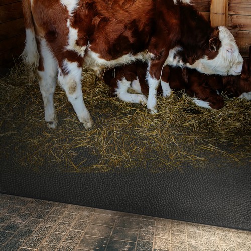 Cow bed matress gw4005 - matress,