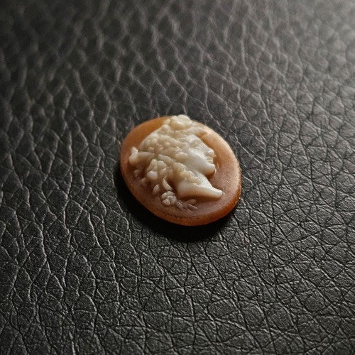 Kamee muschel damenprofil - kamee,