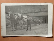 Foto Postkarte Pferd