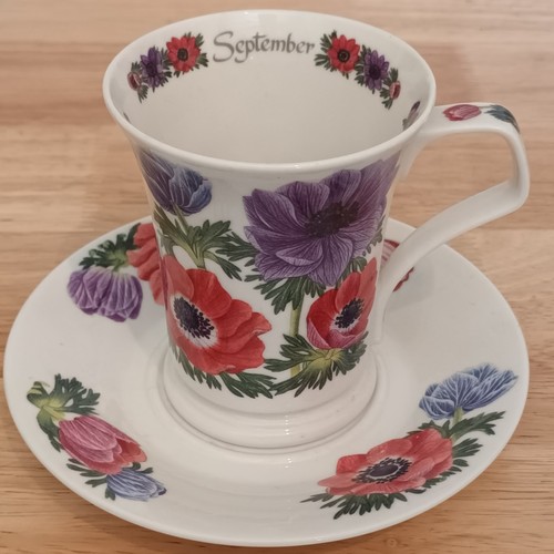 Anemone tasse untertasse - anemone,