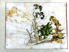 Aquarell/Skizze - WETTERTANNEN